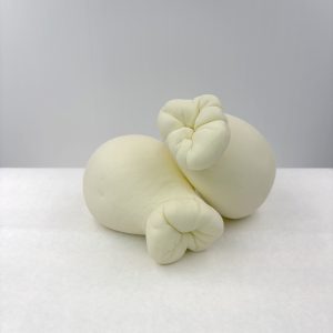 FORMAGGIO A PASTA FILATA CACIOTTA